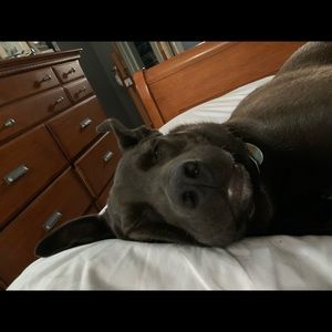 Meet your Posher, Kelly